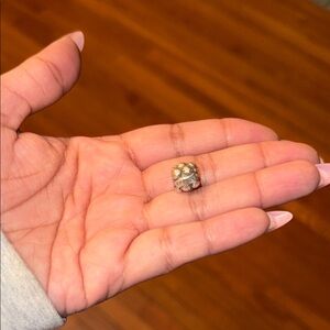 Retired pandora official family charm